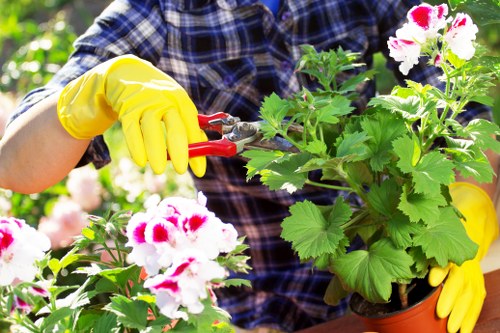 Garden maintenance work in Worcester Park with tidy lawn and borders