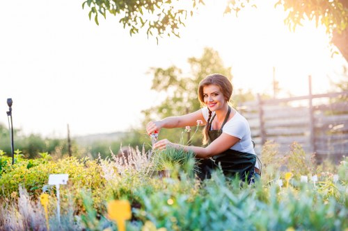 Seasonal garden care and planting in a well-kept Worcester Park property