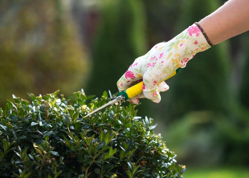 Illustration for essential cookies in a gardening website policy