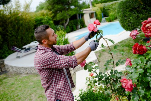 Gardeners Worcester Park terms and conditions introduction