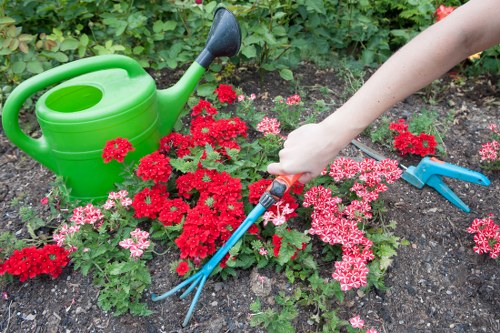 Professional gardener assessing a service issue