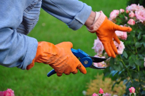 Professional garden maintenance in Worcester Park with hedge trimming
