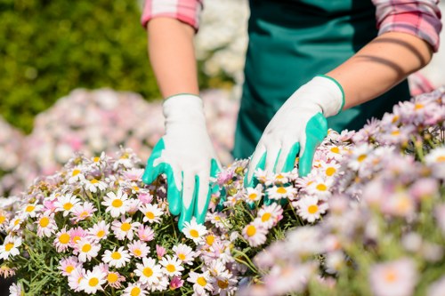 Accessibility request section for local gardening website