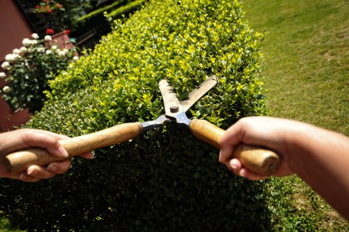 Seasonal garden clearance with leaves and branches in Worcester Park