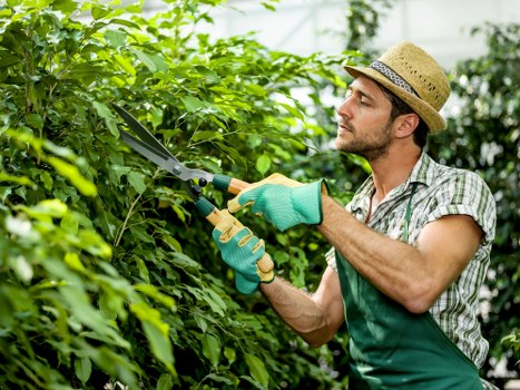 SSL-encrypted payment process for Worcester Park gardeners
