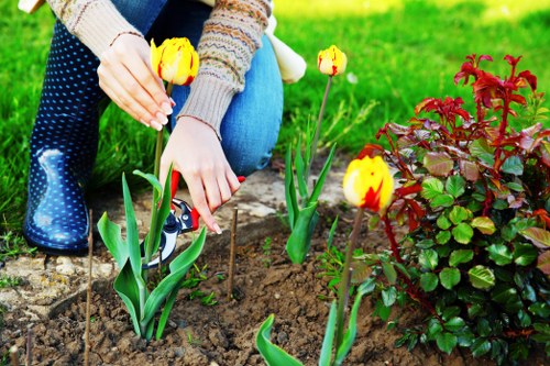 Reliable local garden care and maintenance services in Worcester Park