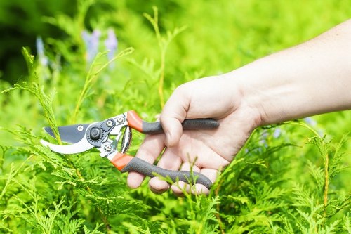 Professional gardeners in Worcester Park improving a well-kept garden