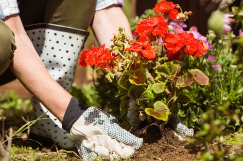 Keyboard navigation support for Worcester Park garden services