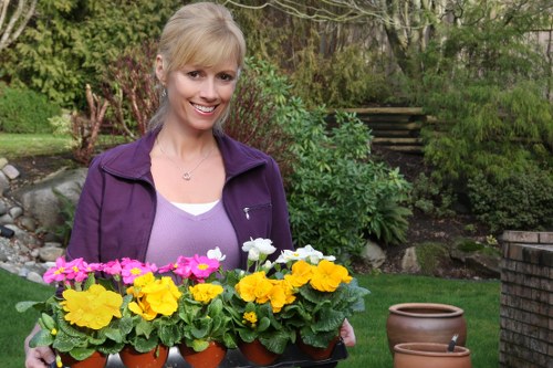 Screen-reader friendly gardening website content