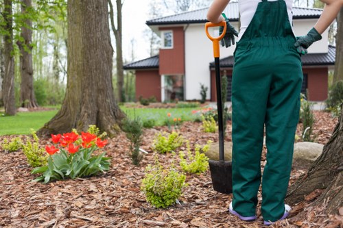 Seasonal hedge maintenance in Worcester Park