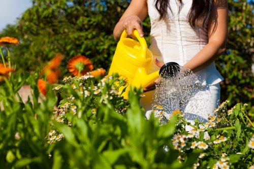 Professional garden clearance restoring a tidy outdoor space in Worcester Park