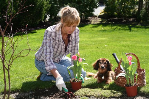 Hard and soft landscaping design for a Worcester Park garden