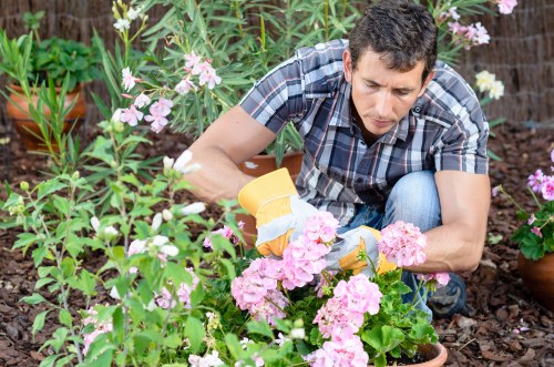 Charity partnership for reusable garden items