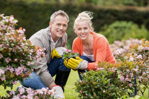 Professional lawn mowing in a Worcester Park home garden