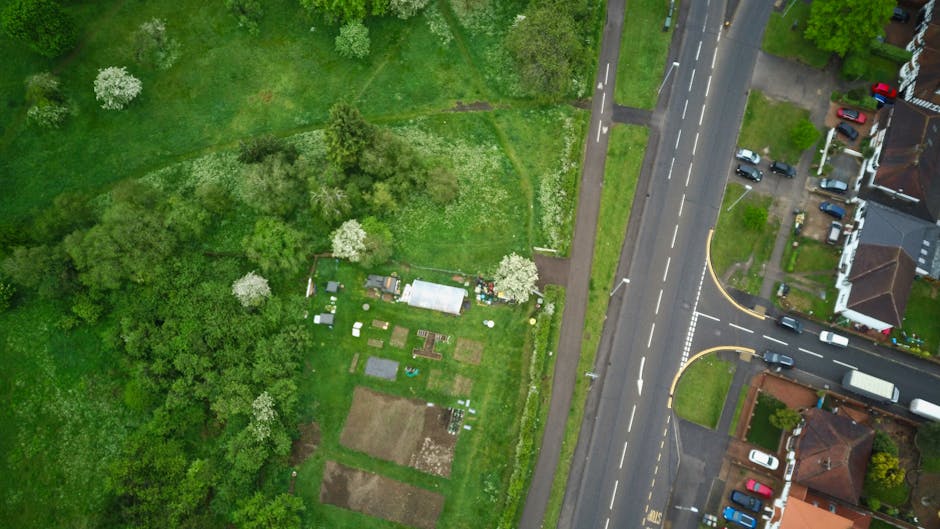 An aerial view of a garden adjacent to a residential street, featuring a lush green lawn, several mature trees with flowering white blossoms, and well-defined garden beds with soil showing signs of re