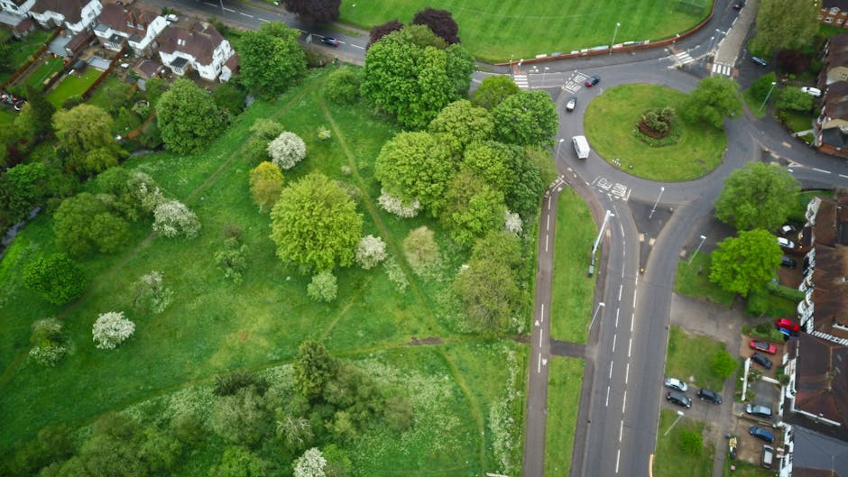 An aerial view of a garden adjacent to a residential street, featuring a lush green lawn, several mature trees with flowering white blossoms, and well-defined garden beds with soil showing signs of re